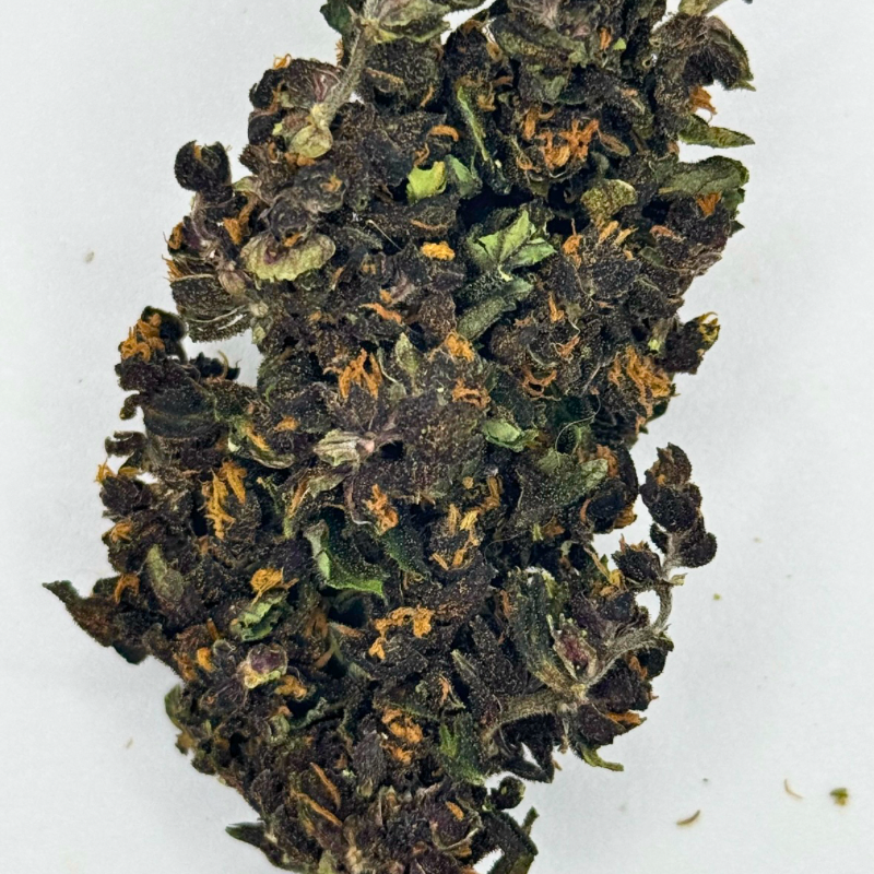 Purple Jack 🇨ðŸ‡