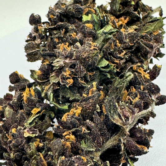 Purple Jack 🇨🇭