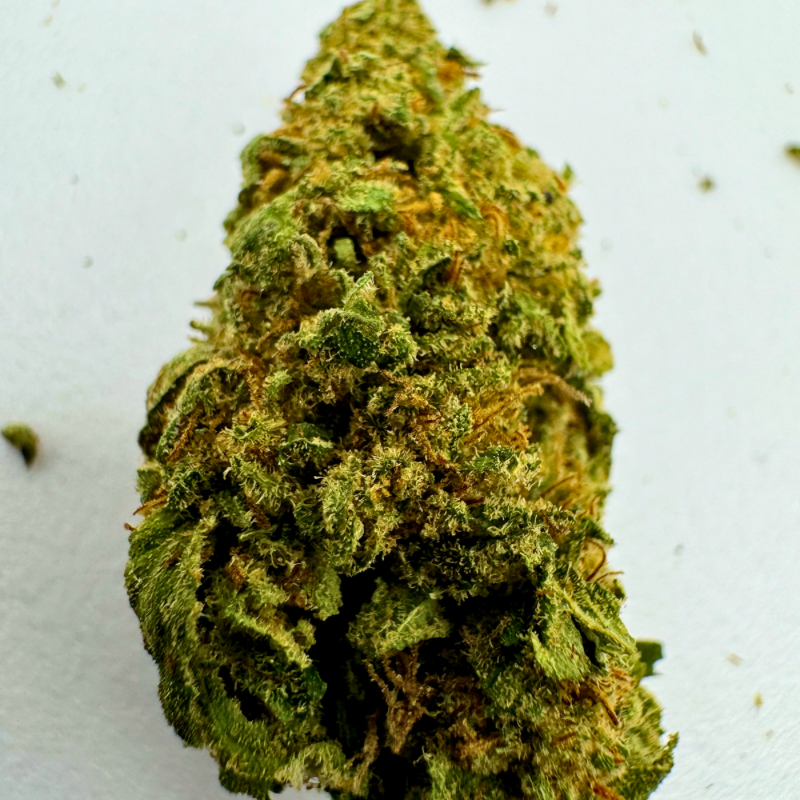 Caraïban 🇨ðŸ‡