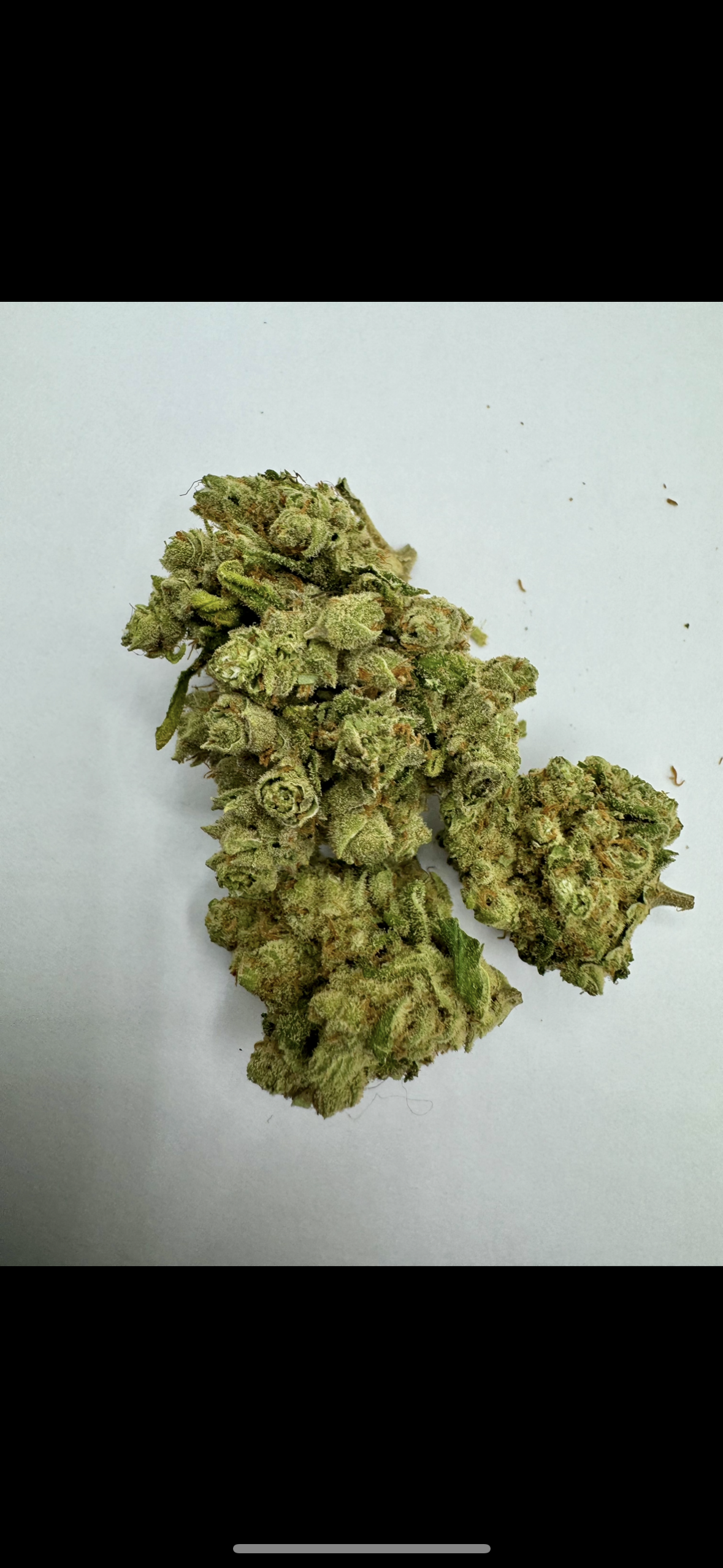 Orange Sherbet 🇨ðŸ‡
