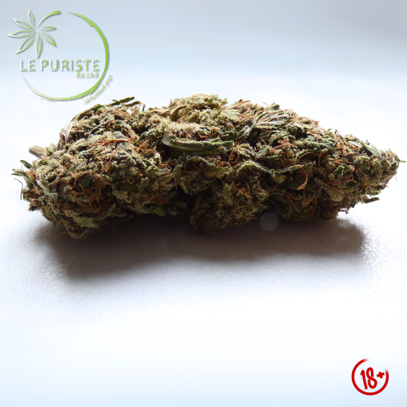 White Diesel đ«đ·