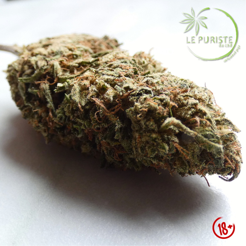 White Diesel đ«đ·