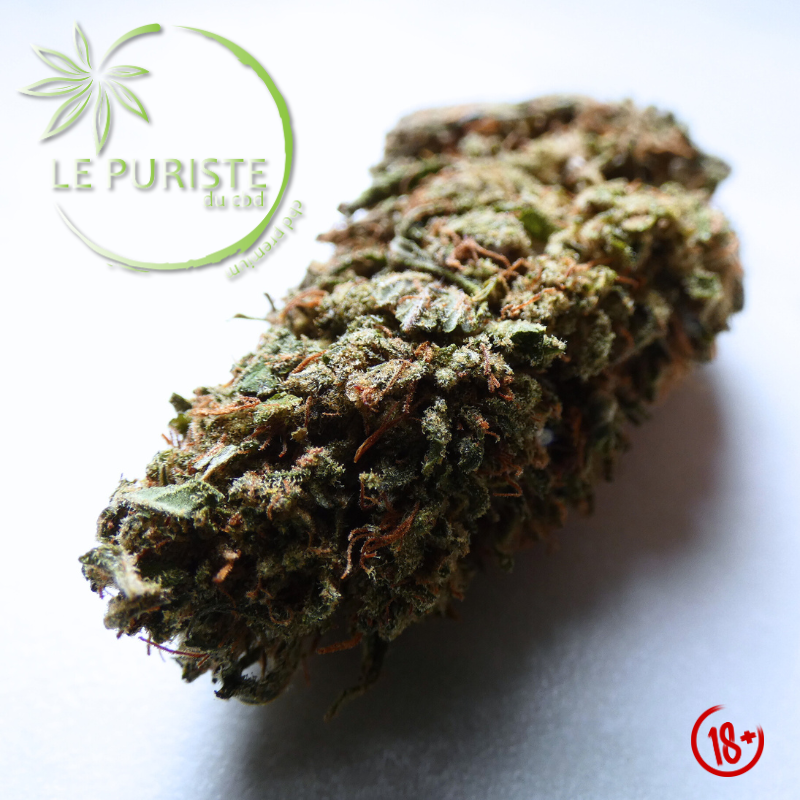 White Diesel đ«đ·