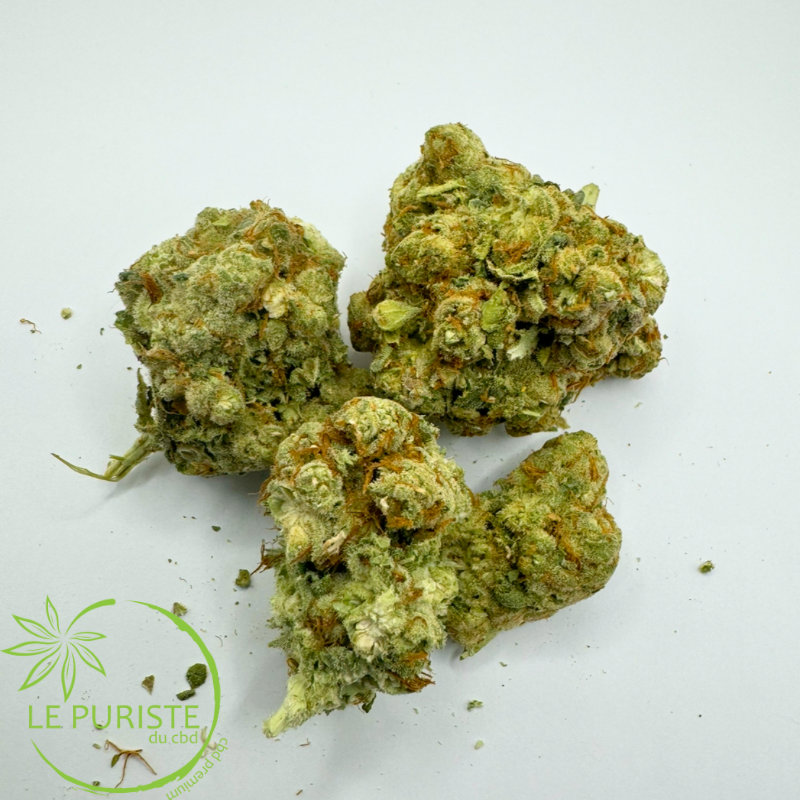 Amnesia Haze 🇨ðŸ‡