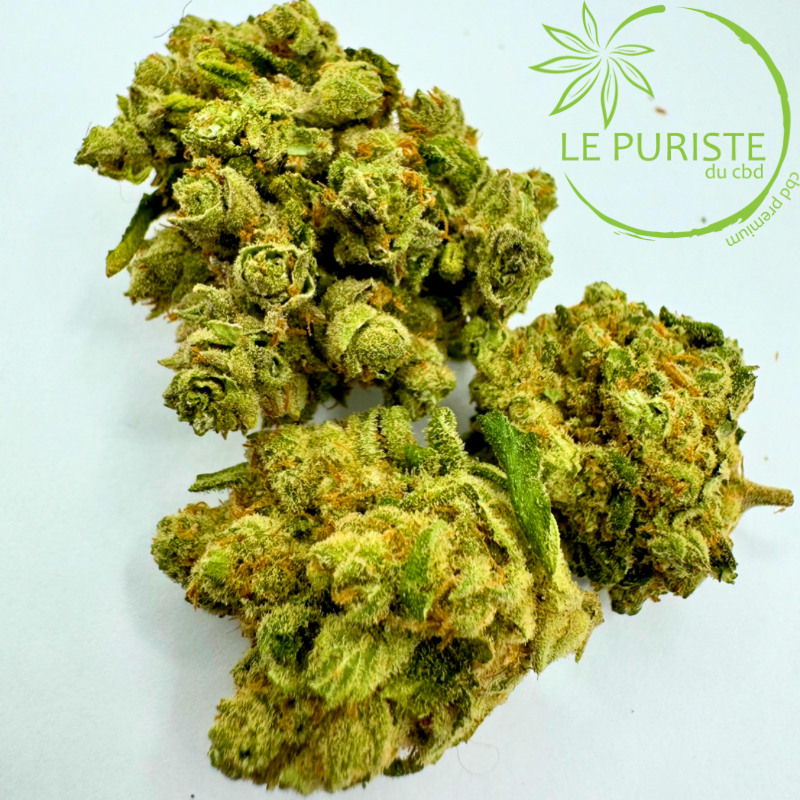 Orange Sherbet 🇨ðŸ‡