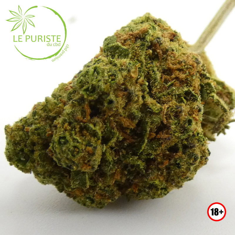 Lemon Pop 🇫🇷