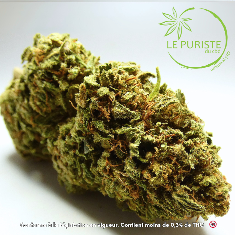 K2 Kush 🇫🇷