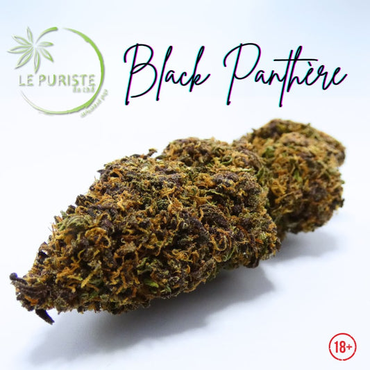 Black panthère 🇫🇷