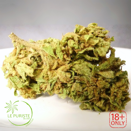 Sour Hawaïan Haze 🇫🇷