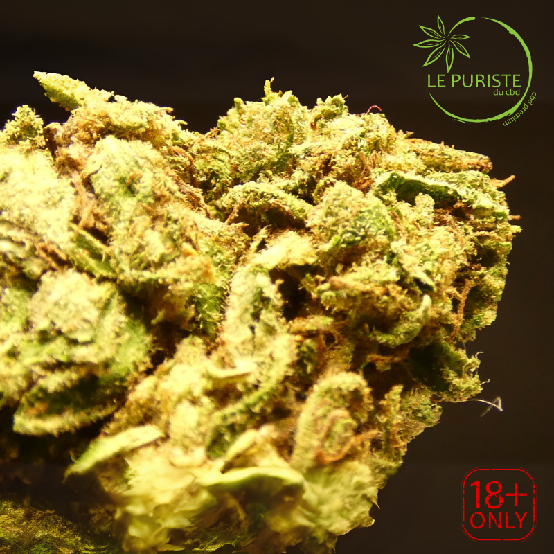 Sour Hawaïan Haze 🇫🇷