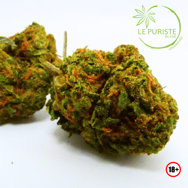 Lemon Pop 🇫🇷