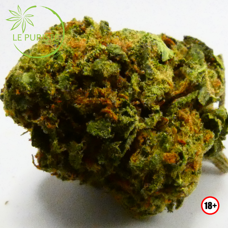 Lemon Pop 🇫🇷