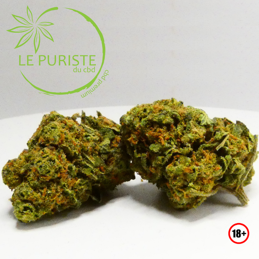 Lemon Pop 🇫🇷