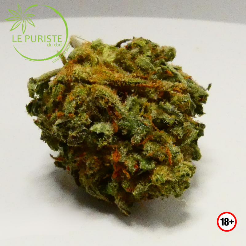 Lemon Cheese 🇫🇷