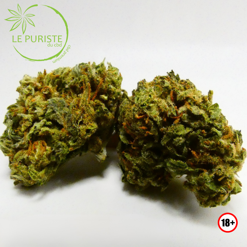 Lemon Cheese 🇫🇷