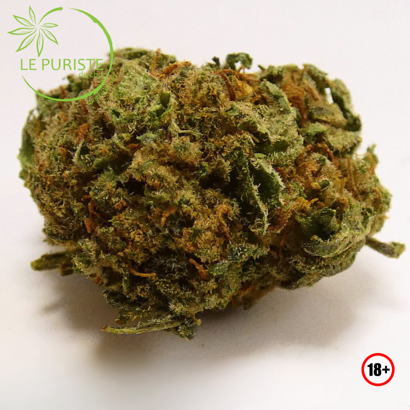 Lemon Cheese 🇫🇷
