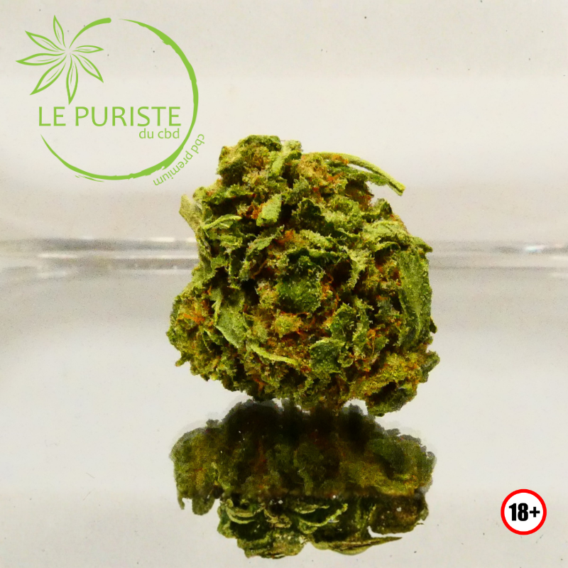 Bubba Kush 🇫🇷