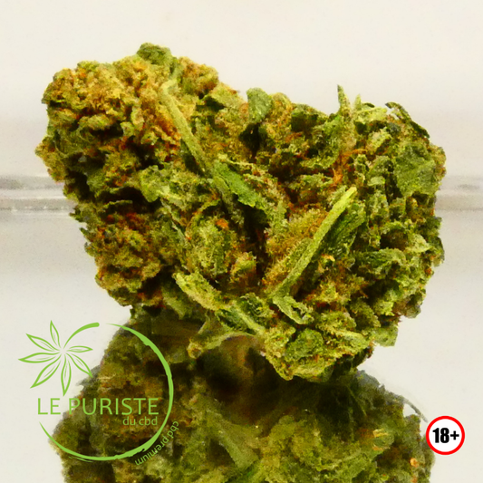 Bubba Kush 🇫🇷