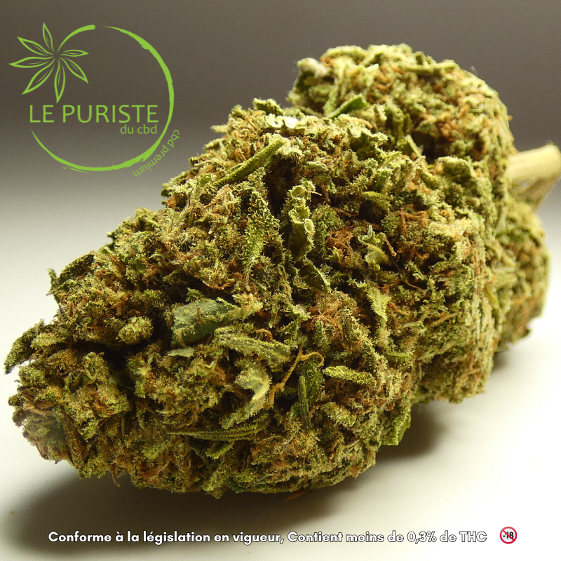 K2 Kush 🇫🇷