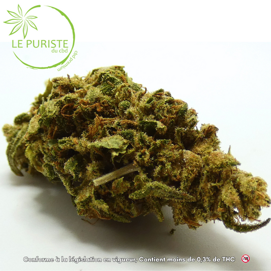 Lemon skunk 🇫🇷