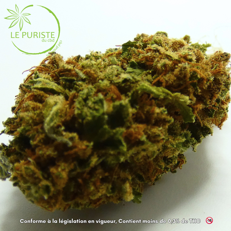 Peach Mint Kush 🇫🇷